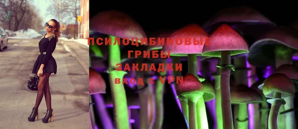 тгк Аркадак